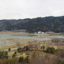 相模川自然の村公園