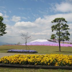 県立相模三川公園