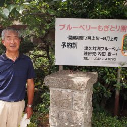 津久井湖ブルーベリー園